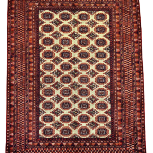 traditional-zair-shai-rug-4x6-14