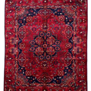 premium-belgique-rug-7x5-14